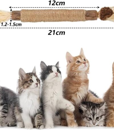 Redreo Katzenminze Sticks, 3 Stück Katzen Kauhölzer Sticks für Katzen Zahnpflege & Gegen Mundgeruch Natürlich Sicher Katzensticks Kausticks