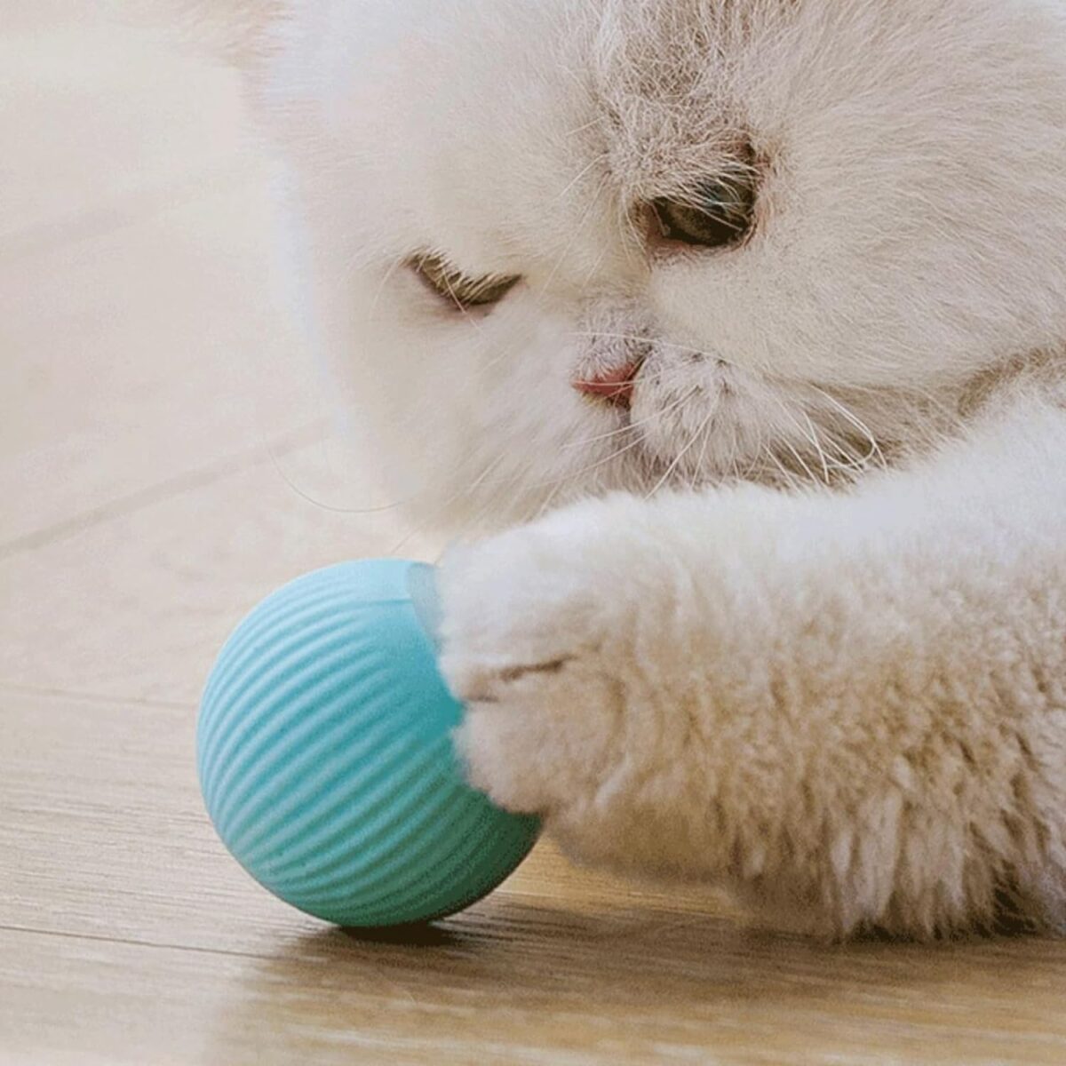 ILantule Katzenspielzeug Elektrisch Katzenball,360 Grad Rollbal Interaktives Katzenspielzeug USB Wiederaufladbarer Elektrische Katzenbälle für Katzen/Hund