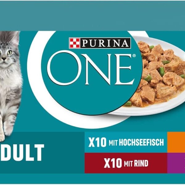 Om denne vare Våd kattefoder: Balanceret opskrift med delikate stykker og grøntsager i en velsmagende sauce Kattefoder mix i sorterne lam, kylling, dybhavsfisk og oksekød Leveringsomfang: Multipakke med 40 individuelle portioner (10 pr. klasse hver) i en 40-pakke (40 x 85g) Kattemad med værdifulde vitaminer for at styrke kroppens forsvar Konventionelt fibervådfoder til katte for at fremme et sundt fordøjelsessystem Kattefoder af høj kvalitet uden farvestoffer eller tilsætning af kunstige smagsstoffer og konserveringsmidler Fodringsanbefaling: fuldfoder til voksne katte, se venligst emballagen for de nøjagtige fodringsinstruktioner